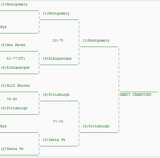 S64GAMITBracket.png